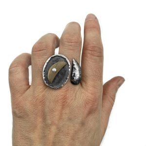 ALMAR - Anillo madera fosilizada